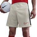 Szorty Męskie Nike Dri-FIT Academy 25 Białe